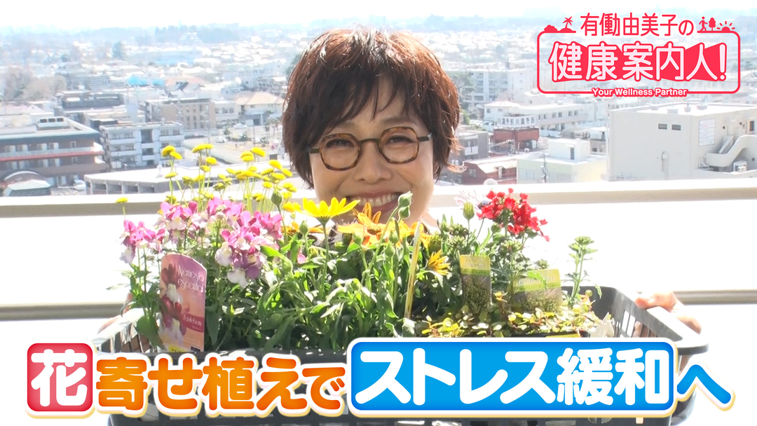 有働由美子の健康案内人！ 花の寄せ植えでストレス軽減