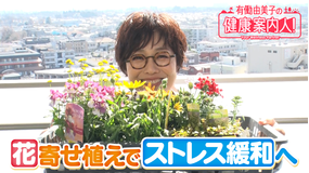 有働由美子の健康案内人！ 花の寄せ植えでストレス軽減