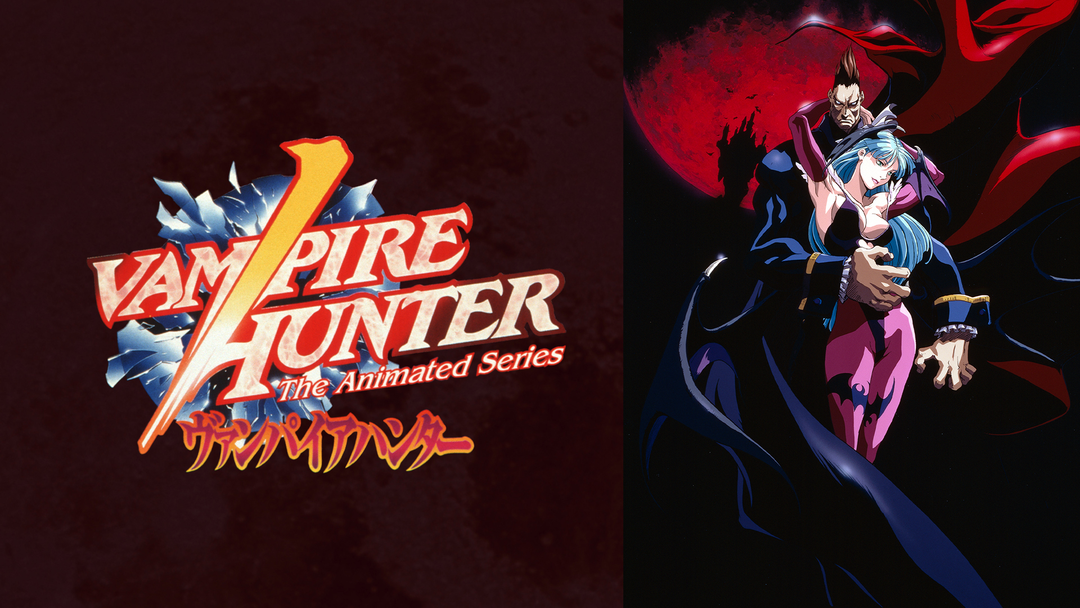 ヴァンパイアハンター THE ANIMATED SERIES | アニメの動画配信は
