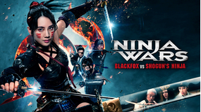 NINJA WARS ～BLACKFOX VS SHOGUN’S NINJA～