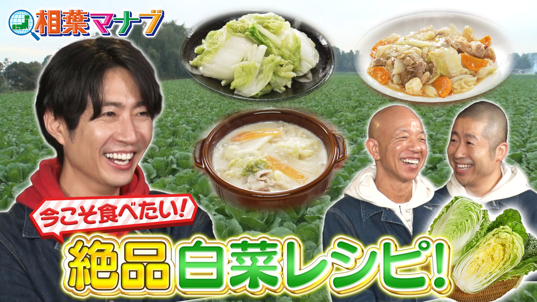 相葉マナブ マナブ！旬の産地ごはん～白菜～（2026/01/18放送分）