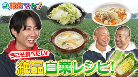 相葉マナブ マナブ！旬の産地ごはん～白菜～（2026/01/18放送分）