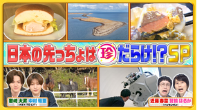 ナニコレ珍百景 新企画「日本の先っちょを大調査」行ってみると実は珍百景だらけSP！（2025/11/16放送分）