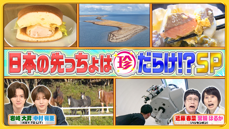 ナニコレ珍百景 新企画「日本の先っちょを大調査」行ってみると実は珍百景だらけSP!(2025/11/16放送分)