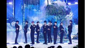 Mnet LIVE #579 ZEROBASEONE/字幕