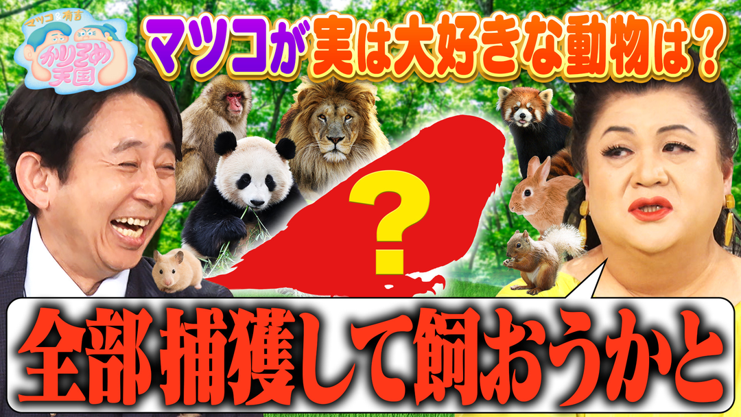 マツコ＆有吉かりそめ天国 マツコが飼いたい動物 銀次と京子の絶品チャーハン旅