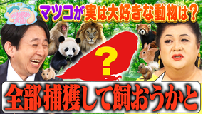 マツコ&有吉かりそめ天国 マツコが飼いたい動物 銀次と京子の絶品チャーハン旅