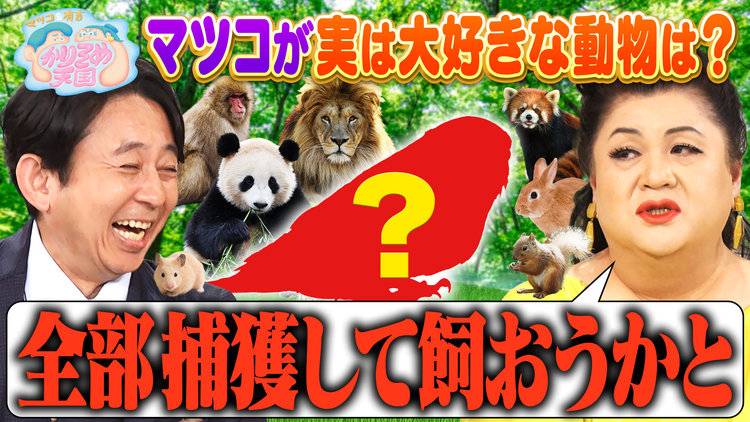 マツコ&有吉かりそめ天国 マツコが飼いたい動物 銀次と京子の絶品チャーハン旅