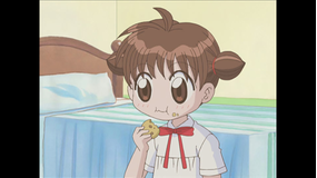 アニマル横町 第101話・第102話（最終話）