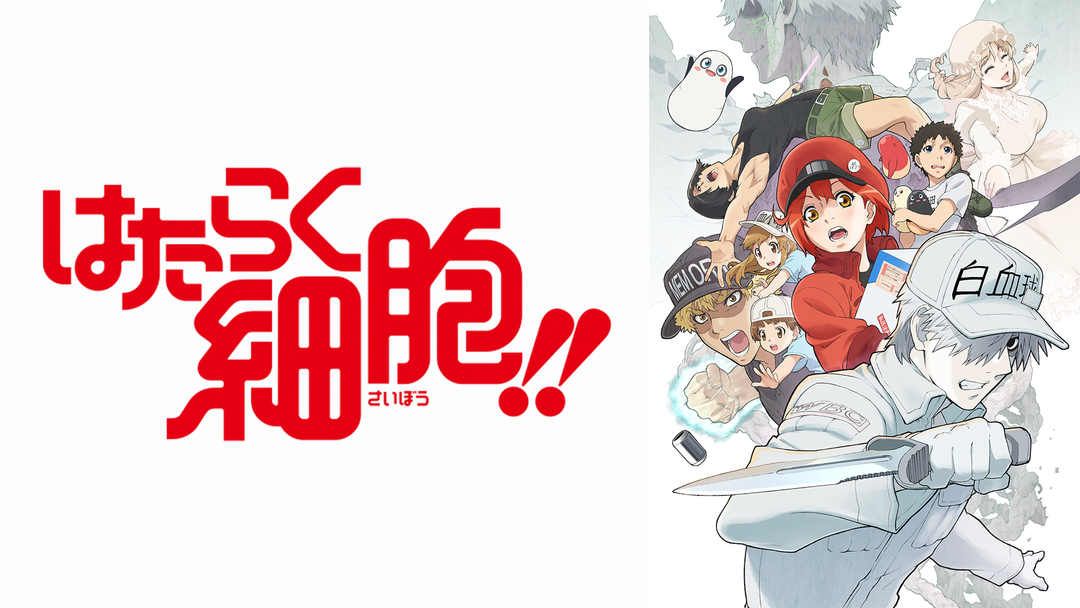 はたらく細胞 ０１～05 はたらかない細胞（1）』（杉本 萌,清水 茜）｜講談社
