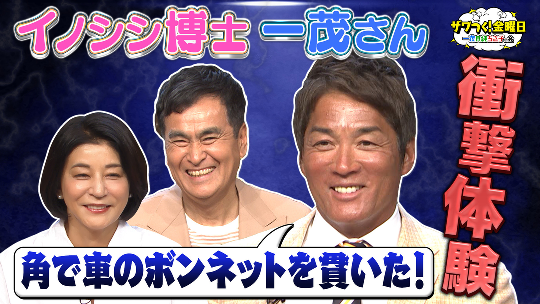 ザワつく！金曜日 イノシシに詳しすぎる一茂さん＆一番高い信楽焼きたぬきを見極めろ！（2026/05/22放送分）