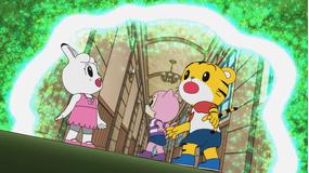 しまじろうのわお!(2019) 第16話