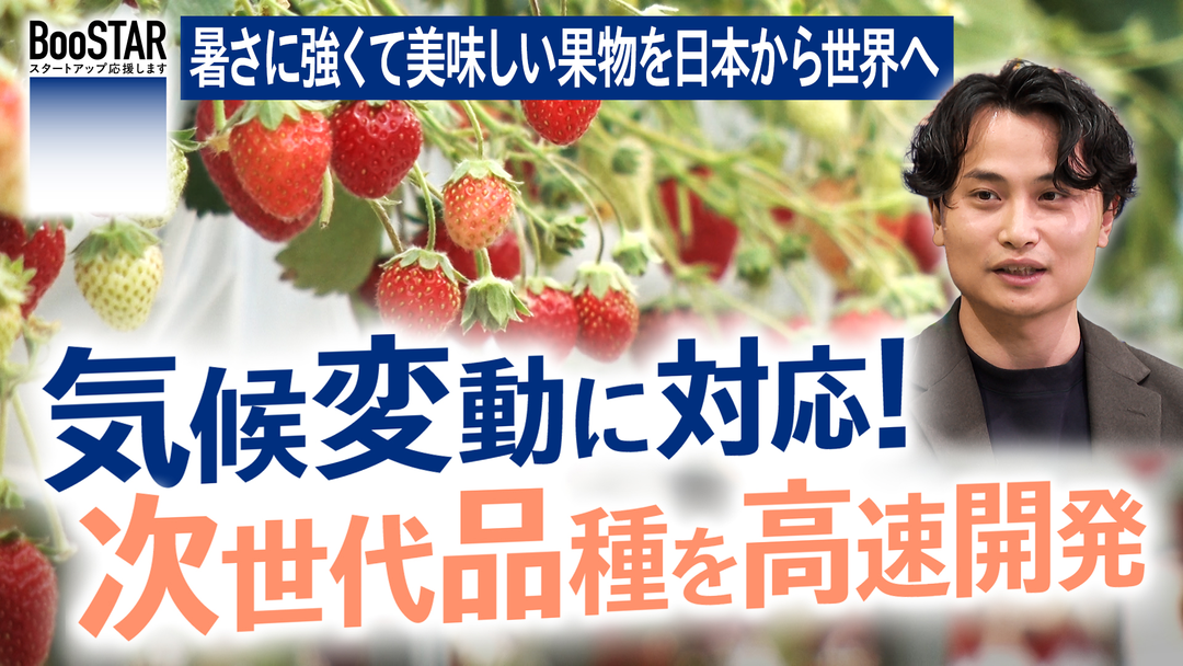 BooSTAR -スタートアップ応援します- 気候変動に対応！次世代品種を高速開発～暑さに強くて美味しい果物を、日本から世界へ～