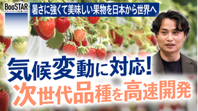 BooSTAR -スタートアップ応援します- 気候変動に対応！次世代品種を高速開発～暑さに強くて美味しい果物を、日本から世界へ～
