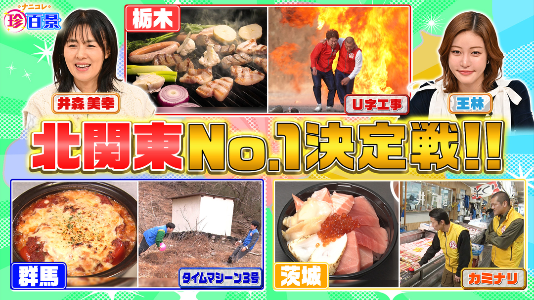 ナニコレ珍百景 群馬vs栃木vs茨城 意地とプライドをかけた北関東No.1決定戦SP！！（2026/03/22放送分）