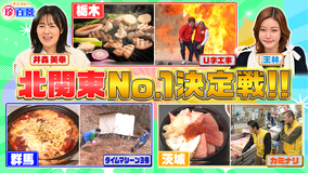 ナニコレ珍百景 群馬vs栃木vs茨城 意地とプライドをかけた北関東No.1決定戦SP！！（2026/03/22放送分）