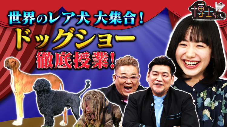 サンドウィッチマン&芦田愛菜の博士ちゃん 2021年2月20日放送