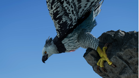 最強王図鑑 ～The Ultimate Tournament～ 第27話