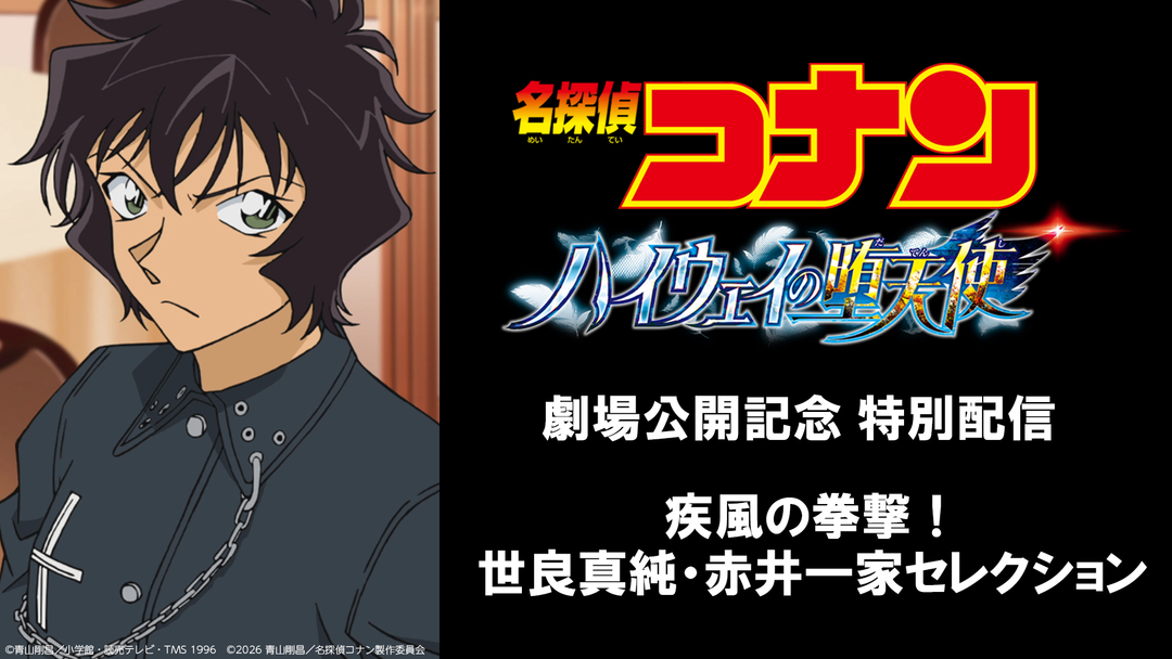 名探偵コナン 疾風の拳撃！世良真純・赤井一家セレクション | アニメの