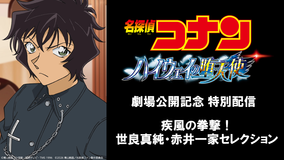 名探偵コナン 疾風の拳撃！世良真純・赤井一家セレクション