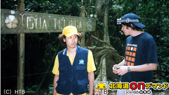 水曜どうでしょうc ジャングルリベンジ Telasa テラサ で映画 ドラマ アニメが見放題