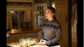 ジ・アメリカンズ 極秘潜入スパイ シーズン5 第12話／字幕