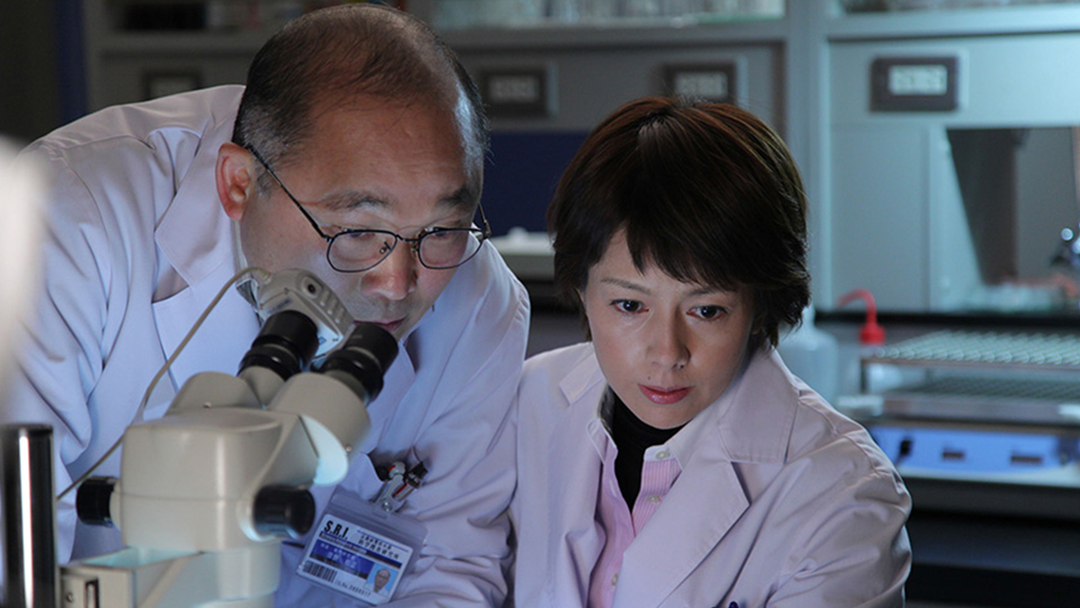 科捜研の女 season12 第08話