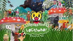 しまじろうのわお!(2019)