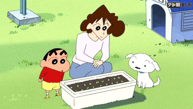 クレヨンしんちゃん オラのラディッシュちゃんだゾ