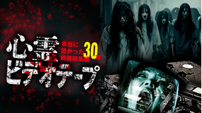 心霊ビデオテープ 本当に恐かった映像総集編30本