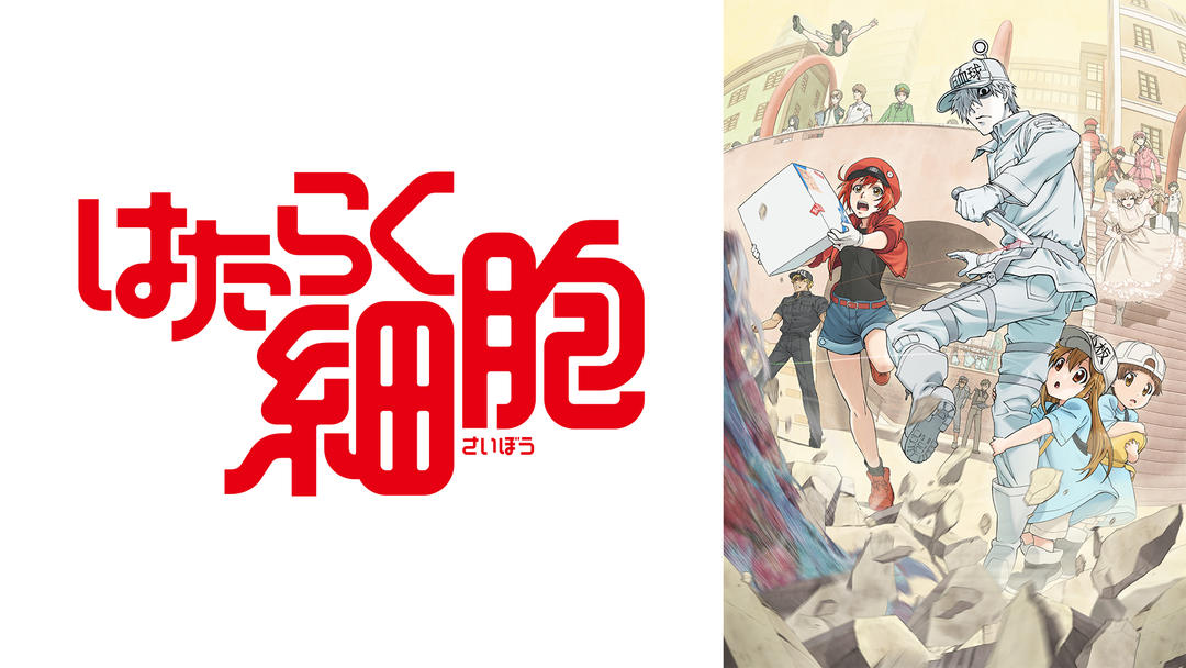 川*沙様 はたらく細胞 Amazon.co.jp: 【Amazon.co.jp限定】体内活劇「はたらく細胞