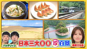 ナニコレ珍百景 秘境駅や餃子…あまり知られてない日本三大○○&京都・熊本の先っちょ(2026/07/05放送分)