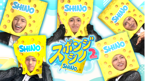 スポンジ・シノ2
