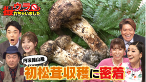 ウラ撮れちゃいました TV初公開!“初松茸”収穫のウラ側&“秘境駅”を調査!(2021/10/28放送分)