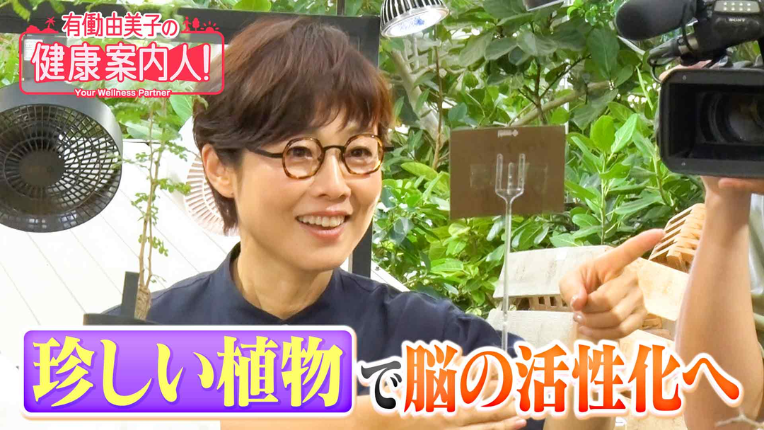 有働由美子の健康案内人！ 珍しい植物で脳の活性化へ