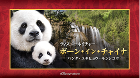 ディズニーネイチャー/ボーン・イン・チャイナ -パンダ・ユキヒョウ・キンシコウ-/吹替