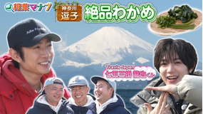 相葉マナブ マナブ！旬の産地ごはん～逗子のわかめ～（2026/05/03放送分）