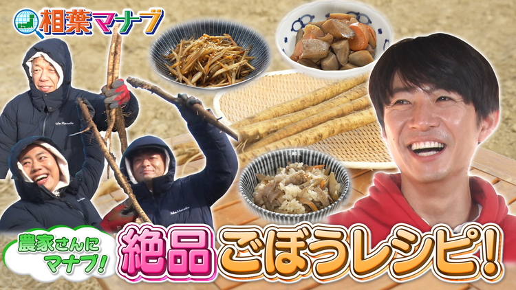 相葉マナブ マナブ!旬の産地ごはん~ごぼう~(2026/03/08放送分)
