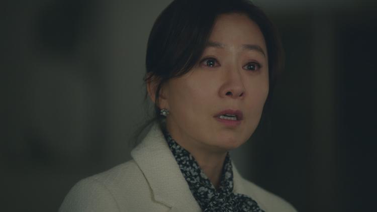 夫婦の世界 第24話／字幕