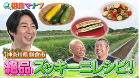 相葉マナブ マナブ!旬の産地ごはん~ズッキーニ~(2026/08/16放送分)