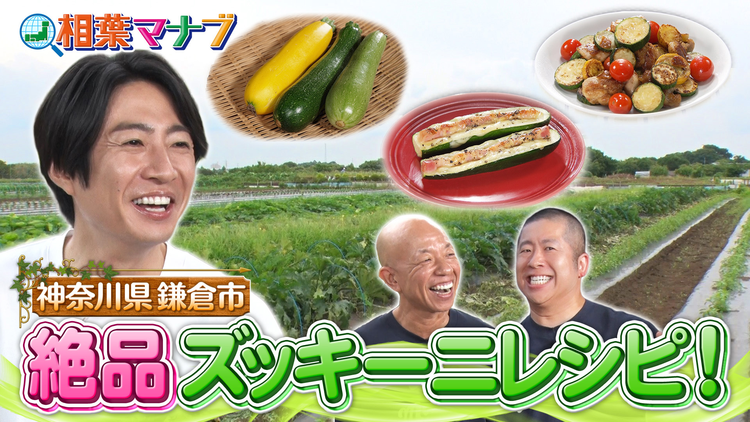 相葉マナブ マナブ!旬の産地ごはん~ズッキーニ~(2026/08/16放送分)