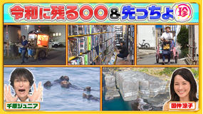 ナニコレ珍百景 令和に残る懐かしの〇〇&北海道・山口の先っちょに驚きの絶景SP(2026/07/12放送分)