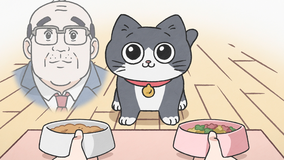 ねこに転生したおじさん 第41話