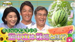 ザワつく！金曜日 8.5kgの大玉すいかを作る「空中立体栽培」とは！？＆日本全国！謎の人だかりを調査！（2025/07/25放送分）