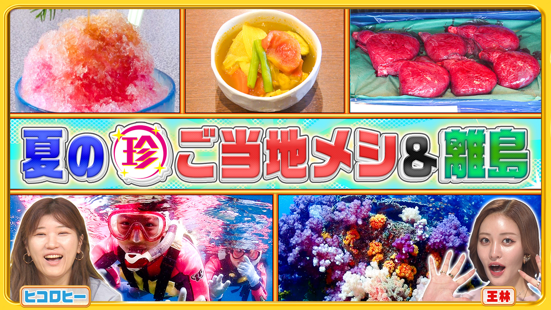 ナニコレ珍百景 離島ならでは！自然にふれる特別授業＆夏のミステリー＆ご当地メシ（2025/08/10放送分）