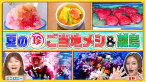 ナニコレ珍百景 離島ならでは!自然にふれる特別授業&夏のミステリー&ご当地メシ(2025/08/10放送分)