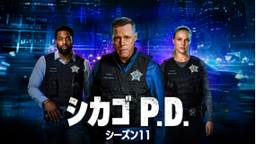 シカゴ P.D. シーズン11／吹替