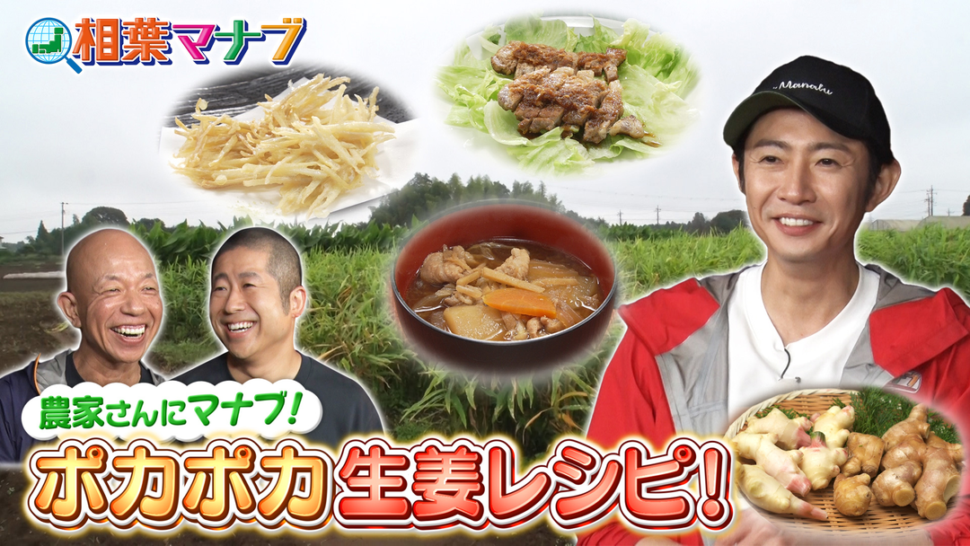 相葉マナブ マナブ！旬の産地ごはん～新生姜～（2025/11/23放送分）