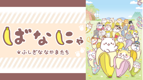 <見逃し>ばなにゃ ふしぎななかまたち