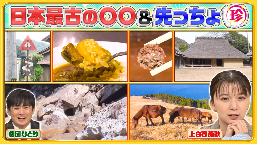 ナニコレ珍百景 上白石萌歌も知らない鹿児島・離島の珍伝統＆半島の先っちょ大調査＆日本最古の〇〇珍百景（2026/02/15放送分）